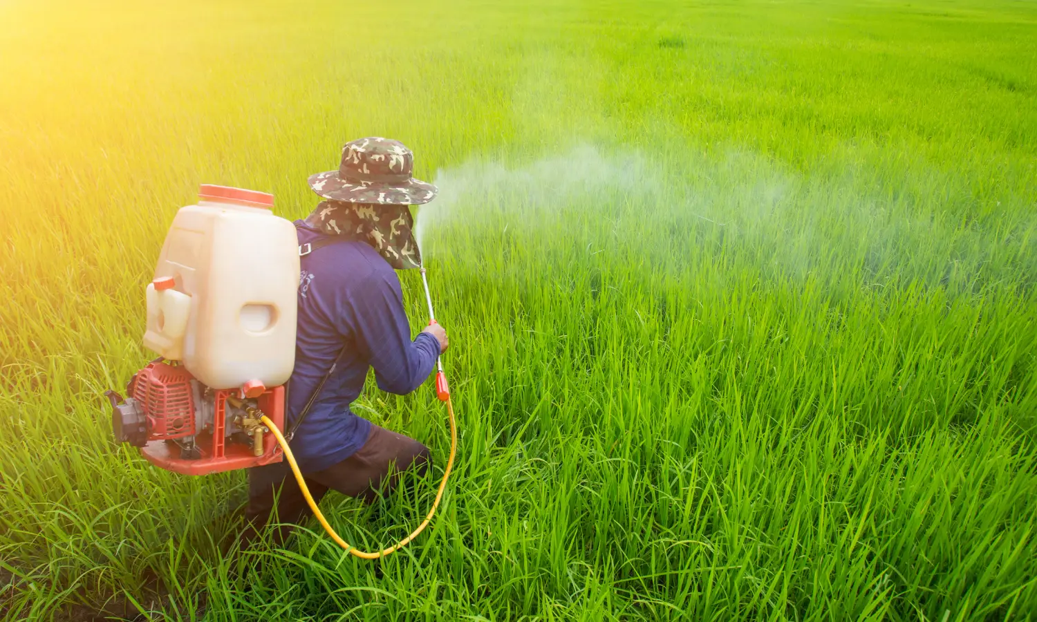 Defensivos Agrícolas
